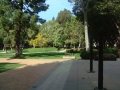 UCLA
